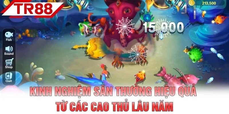 Kinh nghiệm săn thưởng hiệu quả từ các cao thủ lâu năm