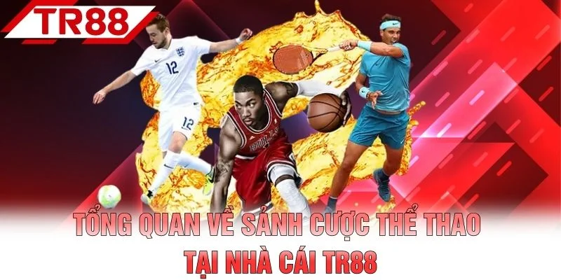 Tổng quan về sảnh cược thể thao tại nhà cái TR88